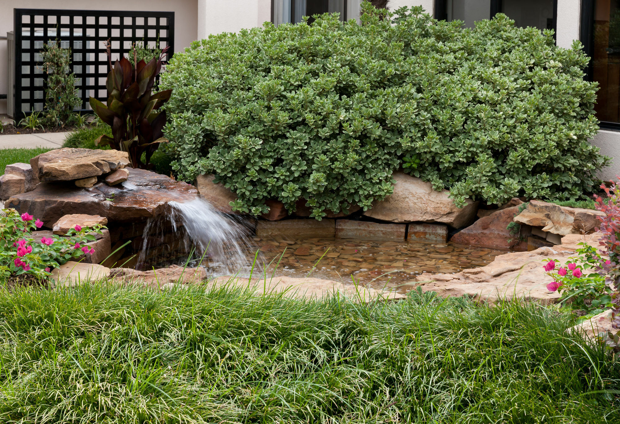 Courtyard By Marriott Waco Hotel Buitenkant foto